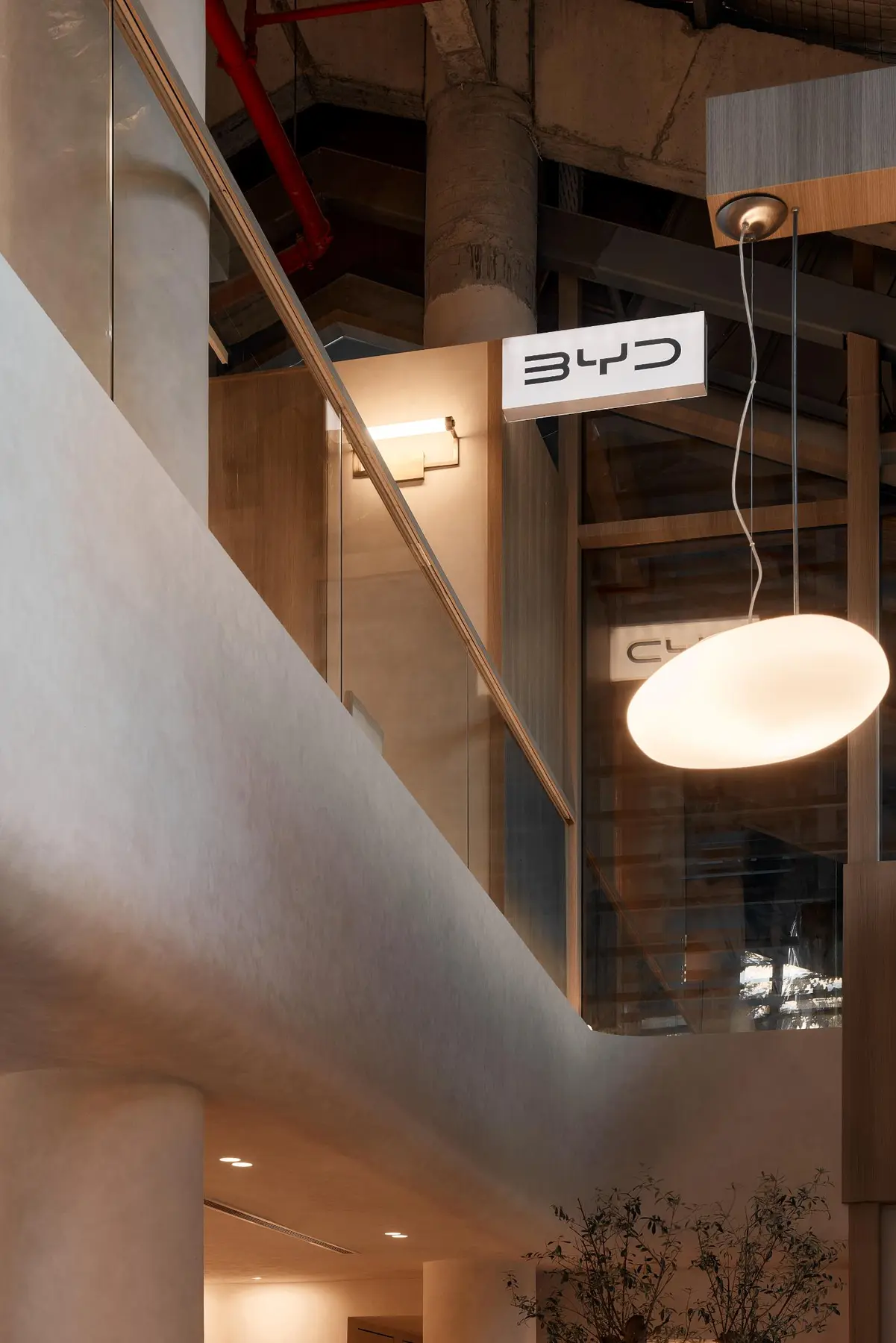 BYD café — portrait natural light and limewash wall
