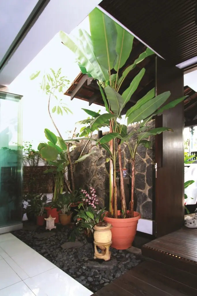 Balinese Elegance by Nic & Wes Builders — 7